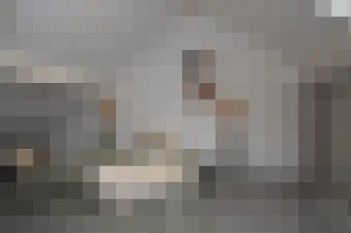 Balisboom 11 a Lierop thumbnail 20