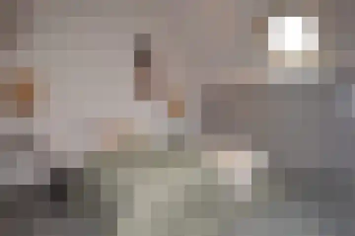 Balisboom 11 a Lierop thumbnail 21