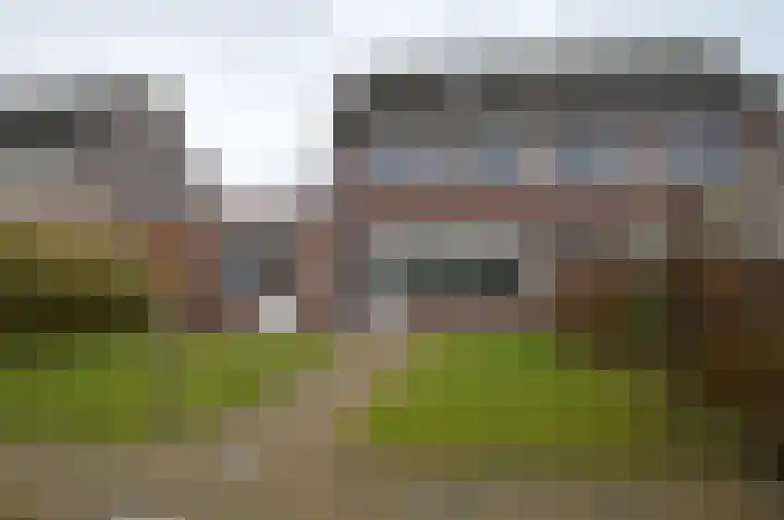 Balisboom 11 a Lierop thumbnail 22