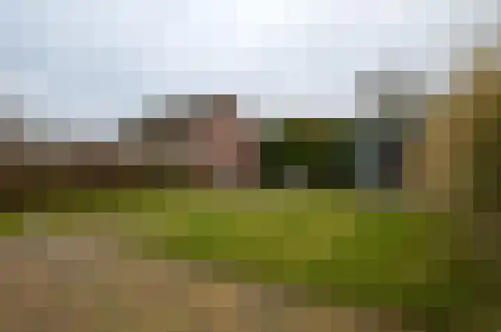 Balisboom 11 a Lierop thumbnail 23