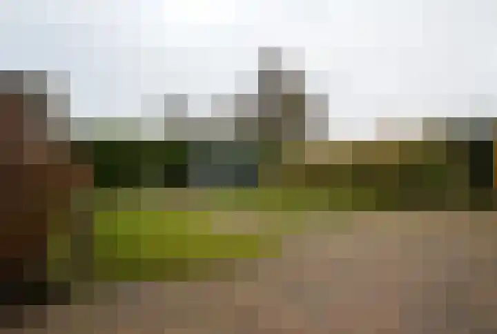 Balisboom 11 a Lierop thumbnail 24