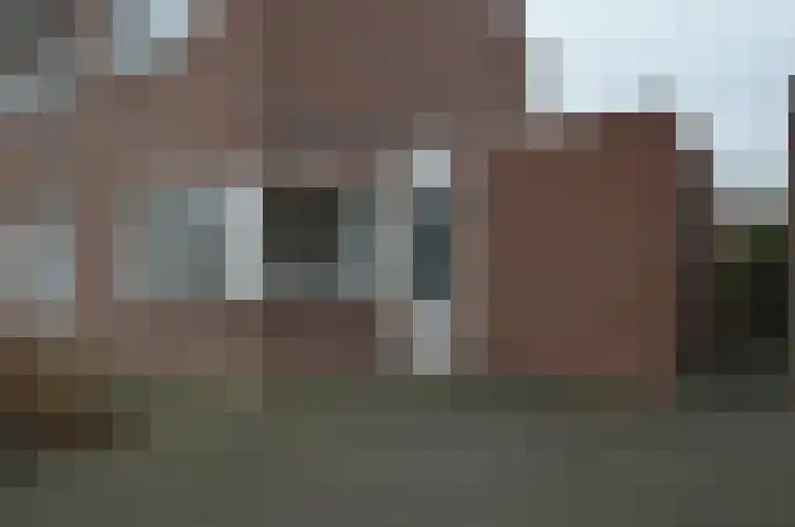 Balisboom 11 a Lierop thumbnail 26