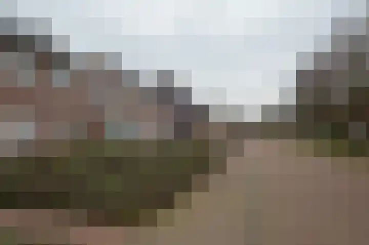 Balisboom 11 a Lierop thumbnail 28