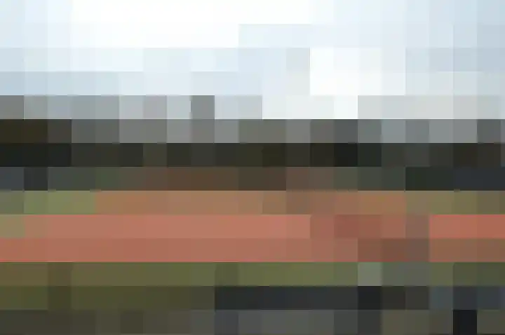 Balisboom 11 a Lierop thumbnail 30