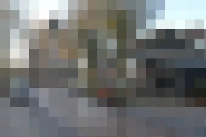 Balisboom 11 a Lierop thumbnail 31