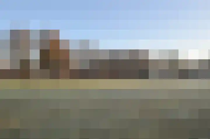 Balisboom 11 a Lierop thumbnail 33