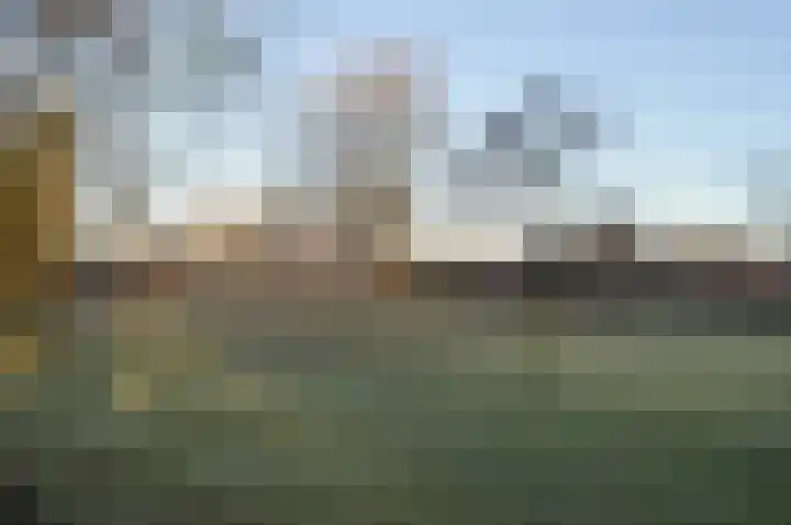 Balisboom 11 a Lierop thumbnail 34