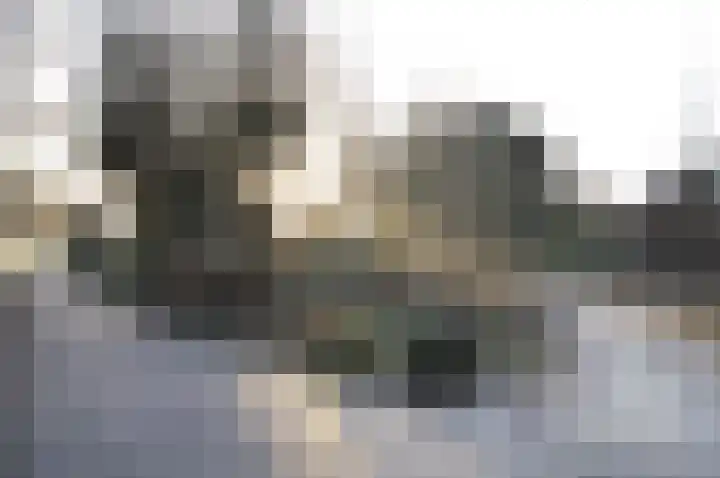 Balisboom 11 a Lierop thumbnail 35
