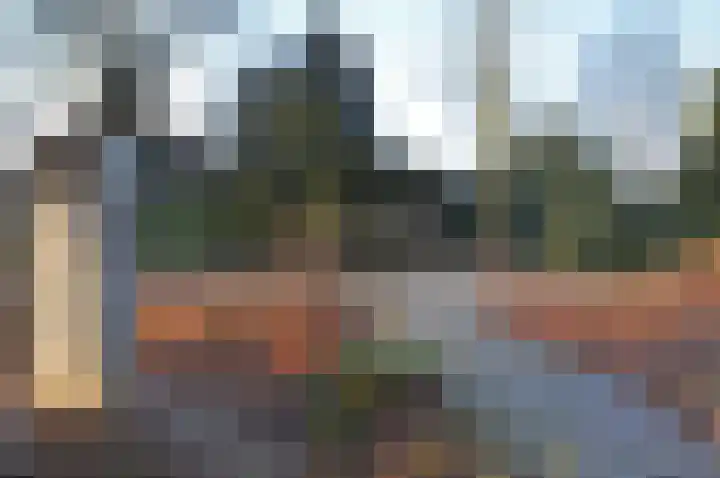 Balisboom 11 a Lierop thumbnail 36