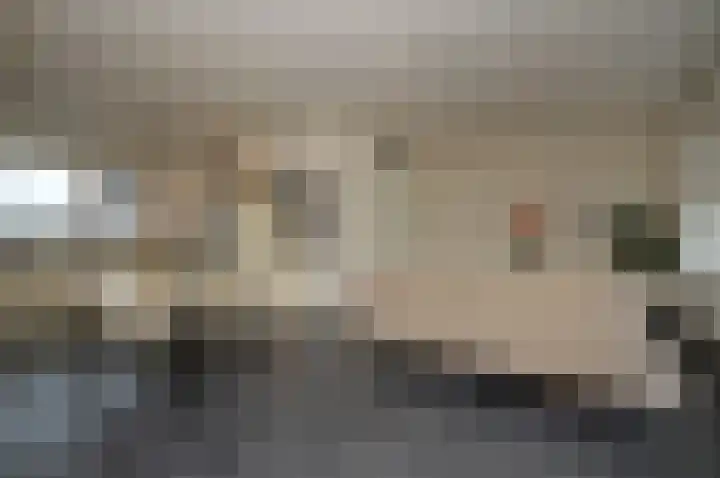 Balisboom 11 a Lierop thumbnail 4