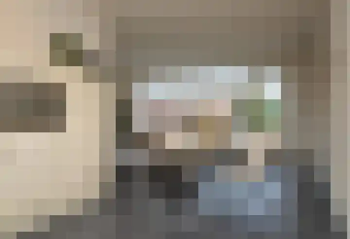 Balisboom 11 a Lierop thumbnail 6