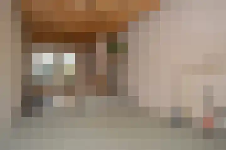 Balisboom 11 a Lierop thumbnail 8