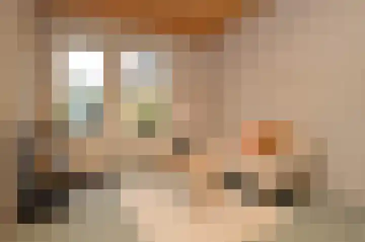 Balisboom 11 a Lierop thumbnail 9