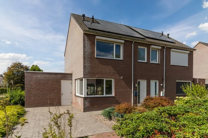 Balisboom 11 Lierop
