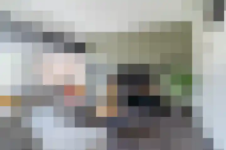 Balisboom 11 Lierop thumbnail 10