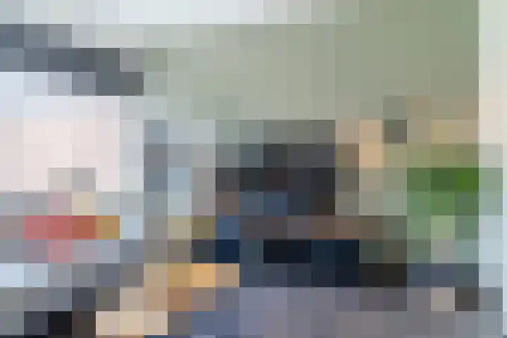 Balisboom 11 Lierop thumbnail 11