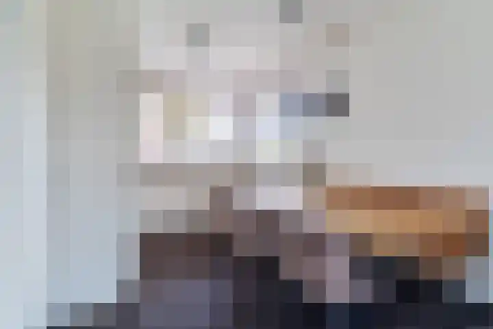 Balisboom 11 Lierop thumbnail 14