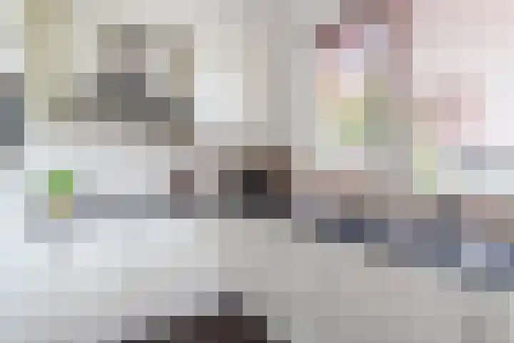 Balisboom 11 Lierop thumbnail 16