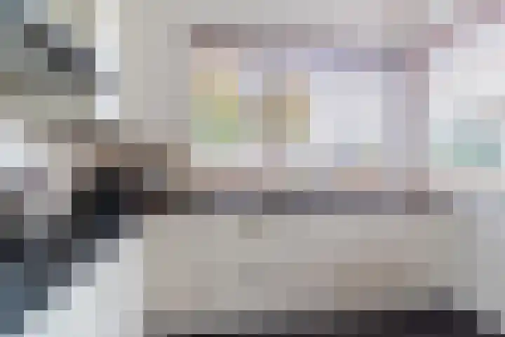 Balisboom 11 Lierop thumbnail 17