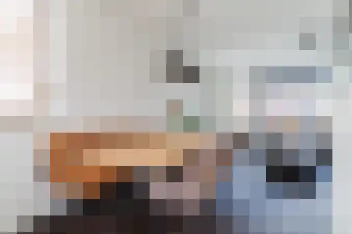 Balisboom 11 Lierop thumbnail 19