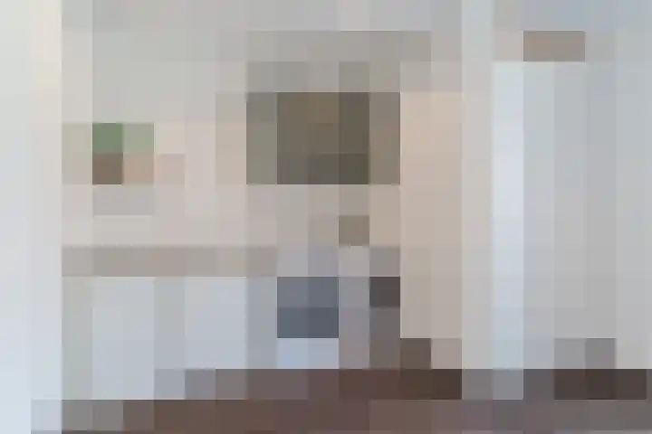 Balisboom 11 Lierop thumbnail 20