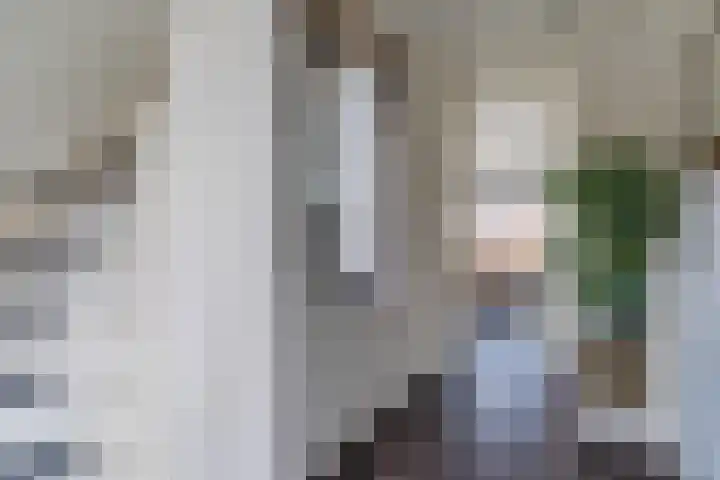 Balisboom 11 Lierop thumbnail 24