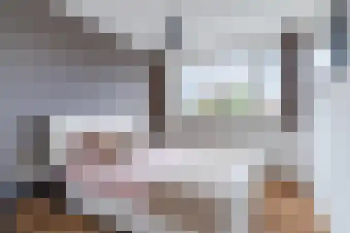 Balisboom 11 Lierop thumbnail 25