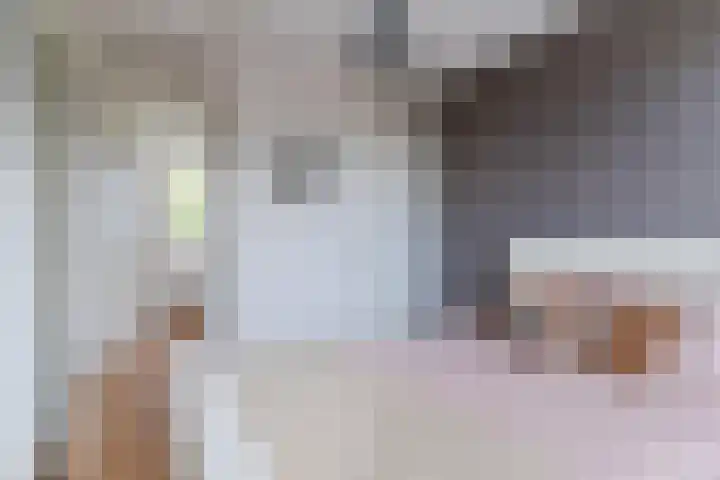 Balisboom 11 Lierop thumbnail 27