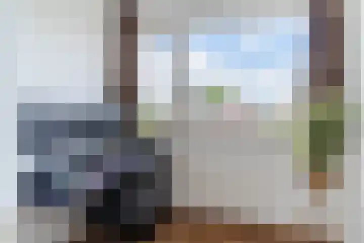 Balisboom 11 Lierop thumbnail 29