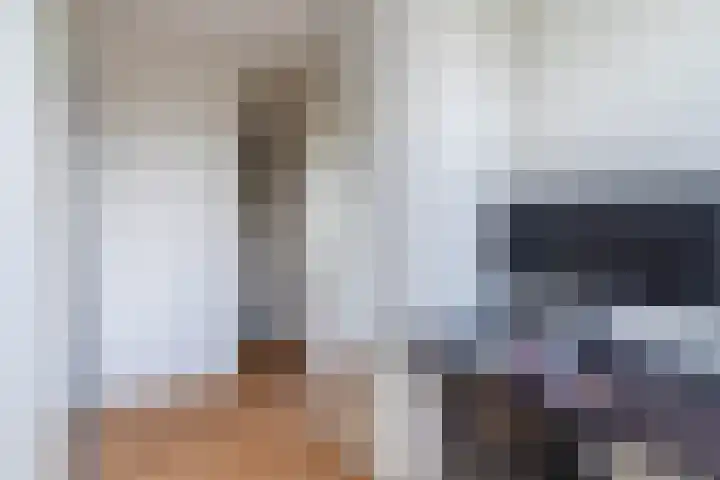 Balisboom 11 Lierop thumbnail 30