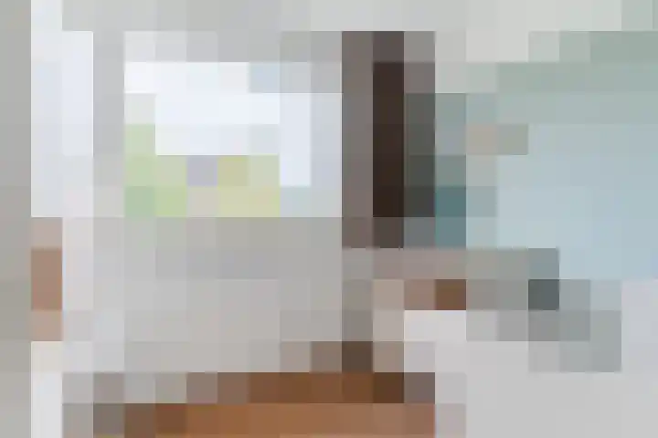 Balisboom 11 Lierop thumbnail 31
