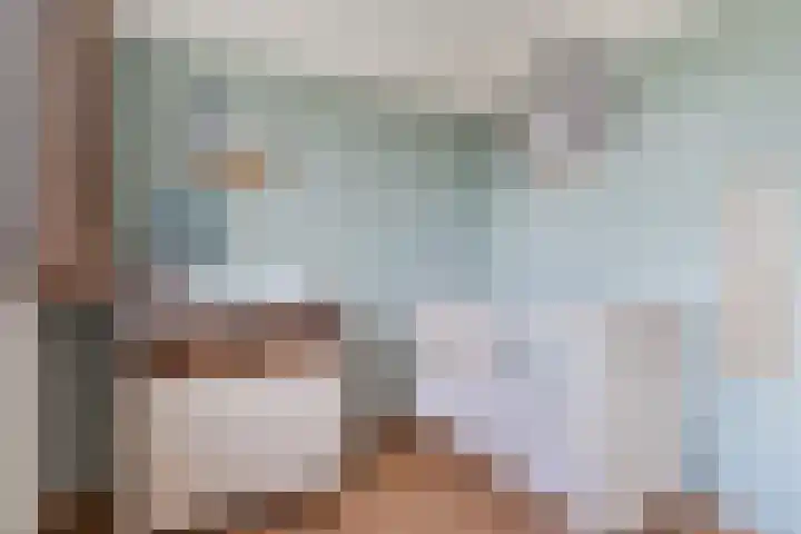 Balisboom 11 Lierop thumbnail 32