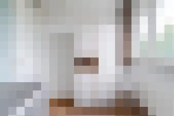 Balisboom 11 Lierop thumbnail 33