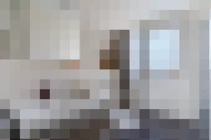 Balisboom 11 Lierop thumbnail 35
