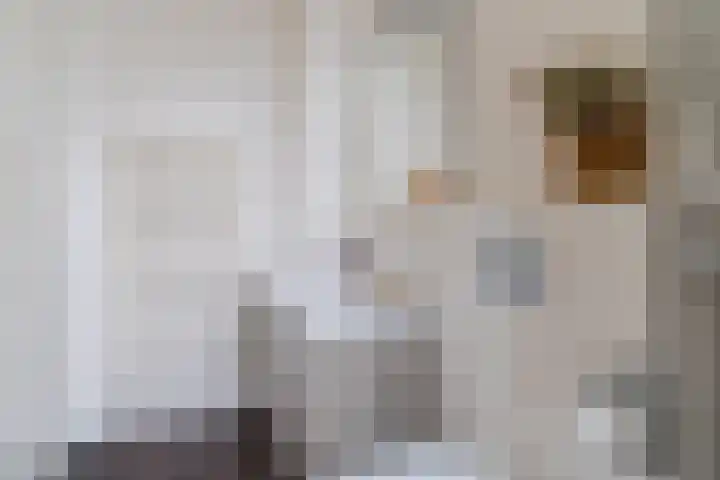 Balisboom 11 Lierop thumbnail 37