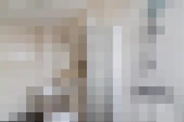 Balisboom 11 Lierop thumbnail 38