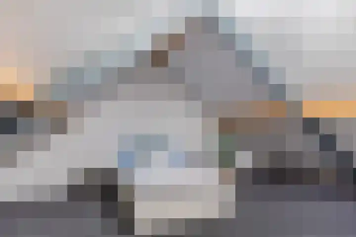 Balisboom 11 Lierop thumbnail 40