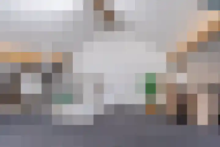 Balisboom 11 Lierop thumbnail 42