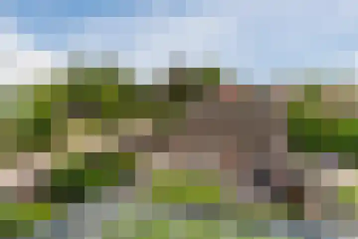 Balisboom 11 Lierop thumbnail 43