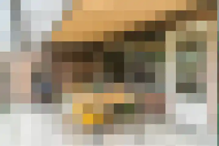 Balisboom 11 Lierop thumbnail 45