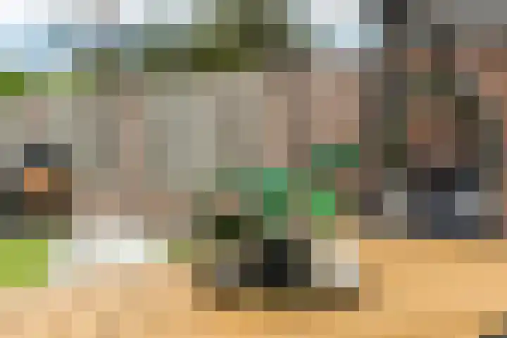 Balisboom 11 Lierop thumbnail 46