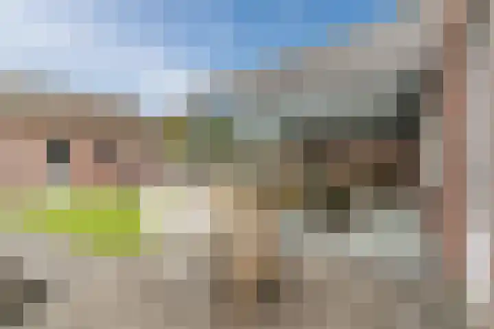 Balisboom 11 Lierop thumbnail 48