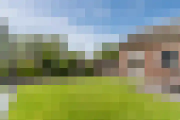 Balisboom 11 Lierop thumbnail 49