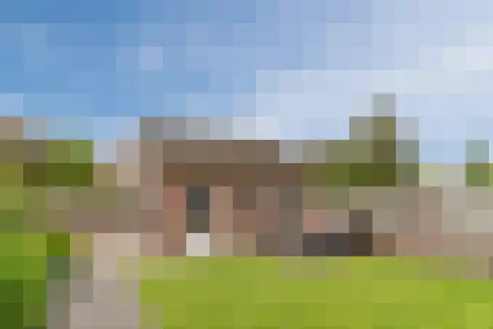 Balisboom 11 Lierop thumbnail 50