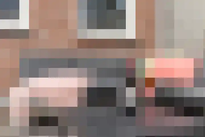 Balisboom 11 Lierop thumbnail 52