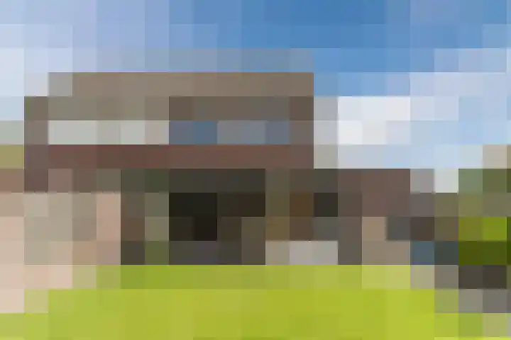Balisboom 11 Lierop thumbnail 53