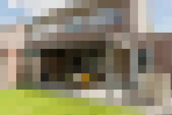 Balisboom 11 Lierop thumbnail 54