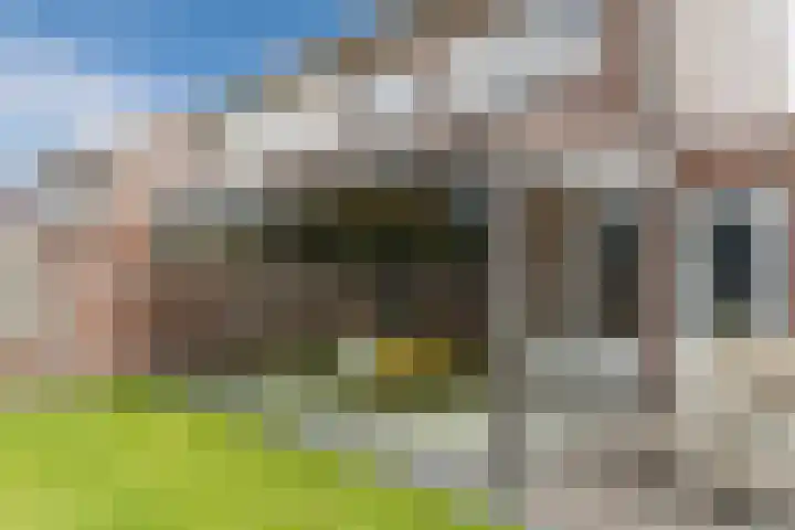 Balisboom 11 Lierop thumbnail 55