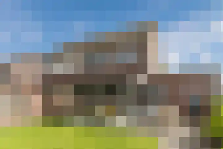 Balisboom 11 Lierop thumbnail 56