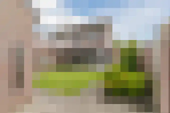 Balisboom 11 Lierop thumbnail 57
